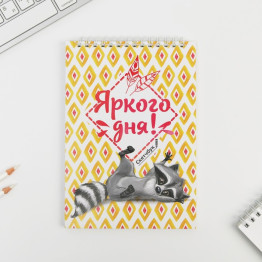 Скетчбук «Енот» А5, 40 л, 100 г/м.