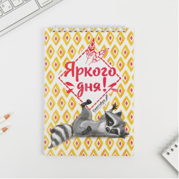 Скетчбук «Енот» А5, 40 л, 100 г/м.
