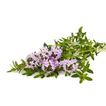 Гидролат Чабреца, 150 мл.| Мастерская Лавровых