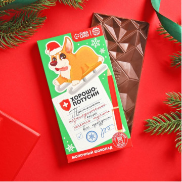 Подарочный молочный шоколад «Хорошопотусин», 70 г.|Количество ограничено
