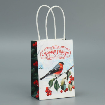 Пакет крафтовый «Зимушка», 15 × 10 × 6 см.|Количество ограничено
