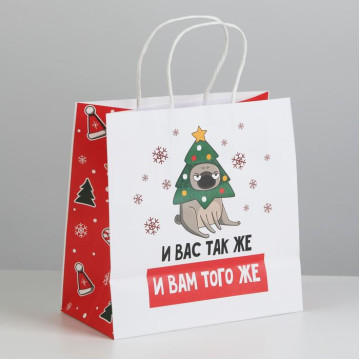 Пакет подарочный «А вас также», 22 × 22 × 11 см.