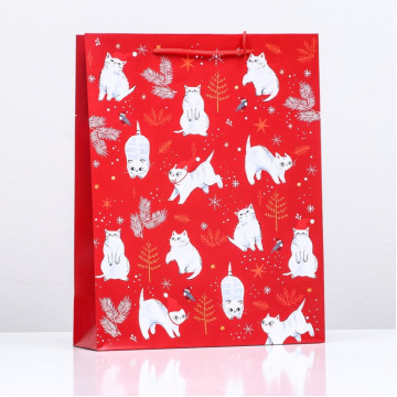 Пакет подарочный "Каникулы", 33 х 42,5 х 10 см.|Количество ограничено