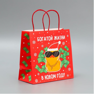 Пакет подарочный крафтовый «Что-то на богатом», 22 × 22 × 11 см.