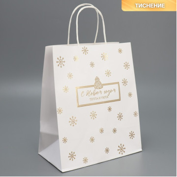 Пакет подарочный крафтовый «Пусть все сбудется», 22 х 25 х 12 см.