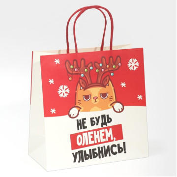 Пакет подарочный «Не будь оленем», 22 × 22 × 11 см.|Количество ограничено
