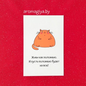 Открытка с юмором Арт.474| Aromagiya.by