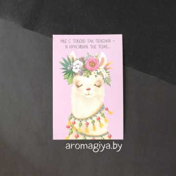 Открытка с юмором Арт.472| Aromagiya.by