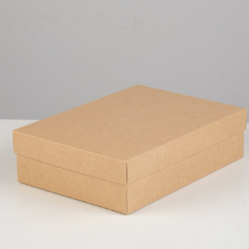 Коробка картонная без окна, крафт, 21 х 15 х 5 см.