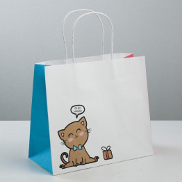 Пакет подарочный крафтовый «Котик», 25 × 22 × 12 см.