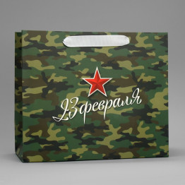 Пакет ламинированный горизонтальный «Звезда», ML 27 х 23 х 11.5 см.