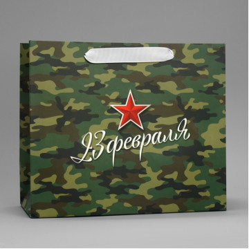 Пакет ламинированный горизонтальный «Звезда», ML 27 х 23 х 11.5 см.