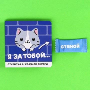 Жевательная резинка «Я за тобой» в открытке, вкус: мята, БЕЗ САХАРА, 1 шт. х 1,36 г.| Фабрика счастья
