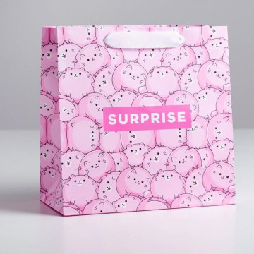 Пакет ламинированный квадратный Surprise, 22 × 22 × 11 см.