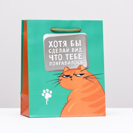 Пакет подарочный "Хотя бы сделал вид, что тебе понравилось", 18 х 22,3 х 10 см.