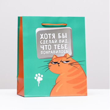 Пакет подарочный "Хотя бы сделал вид, что тебе понравилось", 18 х 22,3 х 10 см.