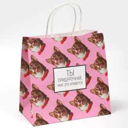Пакет подарочный «Киса», 22х22х11 см.