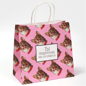 Пакет подарочный «Киса», 22х22х11 см.
