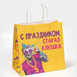 Пакет подарочный «Клюшка», 22 х 22 х 11 см.