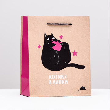 Пакет подарочный "Котику в лапки", 18 х 22,3 х 10 см.