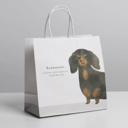 Пакет подарочный «Пирожочек», 22 × 22 × 11 см.